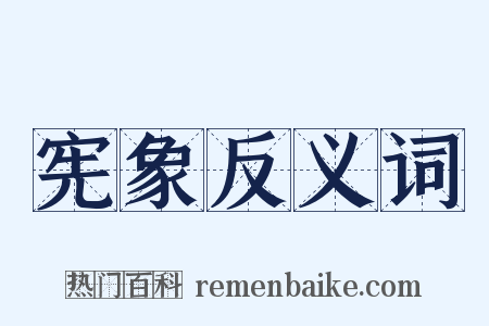宪象反义词是什么意思的图片